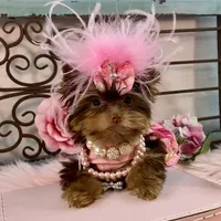 processed/46d4e5fc-bece-406d-a77f-fba0554c4dea/facility/1cd5d965-e565-4f32-adcb-907d2e323cf0