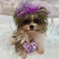 processed/46d4e5fc-bece-406d-a77f-fba0554c4dea/facility/1fc4f852-90bd-4ded-be05-0d56beba662d