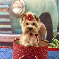 processed/46d4e5fc-bece-406d-a77f-fba0554c4dea/facility/3d0041a4-0807-4162-983c-e3c888bcd62f