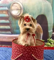 processed/46d4e5fc-bece-406d-a77f-fba0554c4dea/facility/3d0041a4-0807-4162-983c-e3c888bcd62f