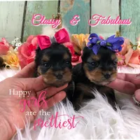 processed/46d4e5fc-bece-406d-a77f-fba0554c4dea/facility/3dfd62f4-6fbb-476c-8212-3c8f6e30aa80