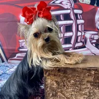 processed/46d4e5fc-bece-406d-a77f-fba0554c4dea/facility/6b053826-aa6e-4bcf-ba1c-c565d4064c3d