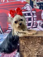 processed/46d4e5fc-bece-406d-a77f-fba0554c4dea/facility/6b053826-aa6e-4bcf-ba1c-c565d4064c3d