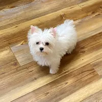 processed/46d4e5fc-bece-406d-a77f-fba0554c4dea/facility/76cd9f07-1975-461c-9215-1f2f341f96f7