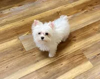 processed/46d4e5fc-bece-406d-a77f-fba0554c4dea/facility/76cd9f07-1975-461c-9215-1f2f341f96f7