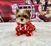 processed/46d4e5fc-bece-406d-a77f-fba0554c4dea/facility/cd13c353-e631-4230-b184-8c91526fc06d