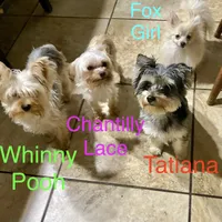 processed/46d4e5fc-bece-406d-a77f-fba0554c4dea/facility/dea8170f-8cab-4d30-a0bc-2961f2737403