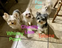 processed/46d4e5fc-bece-406d-a77f-fba0554c4dea/facility/dea8170f-8cab-4d30-a0bc-2961f2737403