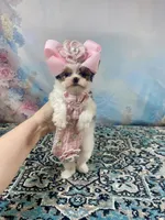 Teacup Chloe Tri-Parti, a female Yorkshire Terrier for sale in Stantonville, TN – Photo 3 of 10