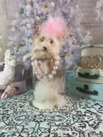 Blue Eyes, a female Yorkshire Terrier for sale in Stantonville, TN – Photo 4 of 10