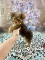 processed/46d4e5fc-bece-406d-a77f-fba0554c4dea/listing/4f647fc2-abaa-4519-ad7d-d5a7b09350d9/1043668d-1937-47e1-9afe-4bf9d044b1d2