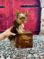 processed/46d4e5fc-bece-406d-a77f-fba0554c4dea/listing/4f647fc2-abaa-4519-ad7d-d5a7b09350d9/30090c4c-eced-4c6a-abe1-c1da2985522d