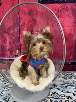 processed/46d4e5fc-bece-406d-a77f-fba0554c4dea/listing/4f647fc2-abaa-4519-ad7d-d5a7b09350d9/5cb28951-d1fc-414f-b875-0674840be219