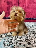 processed/46d4e5fc-bece-406d-a77f-fba0554c4dea/listing/4f647fc2-abaa-4519-ad7d-d5a7b09350d9/7114e33c-34ef-423c-883a-b7513184a2f5