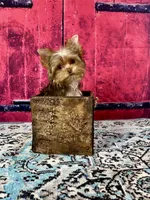 processed/46d4e5fc-bece-406d-a77f-fba0554c4dea/listing/4f647fc2-abaa-4519-ad7d-d5a7b09350d9/d004a299-f4c0-46ec-ad8a-560ce51cbf18