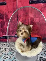 processed/46d4e5fc-bece-406d-a77f-fba0554c4dea/listing/4f647fc2-abaa-4519-ad7d-d5a7b09350d9/ee29e7a3-5288-42cd-9845-243924902296