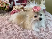 processed/46d4e5fc-bece-406d-a77f-fba0554c4dea/listing/f3623353-f7be-4bfb-a0cb-d9f34c353943/08f8214b-238d-4e22-8815-816174d728ef