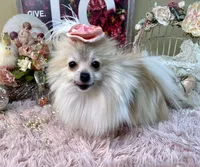 processed/46d4e5fc-bece-406d-a77f-fba0554c4dea/listing/f3623353-f7be-4bfb-a0cb-d9f34c353943/b6cf5b2e-e0b6-4d9c-9281-927feba8bd44