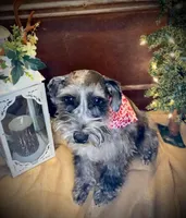 processed/46d5eaba-13ed-4e7b-8db4-a4666766b2f5/facility/056c4890-0ffb-43c5-ade7-28935f8a94e6