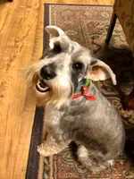 processed/46d5eaba-13ed-4e7b-8db4-a4666766b2f5/facility/1c39b270-5638-4160-988a-eff4cf2d86e5