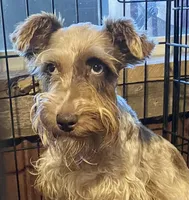 processed/46d5eaba-13ed-4e7b-8db4-a4666766b2f5/facility/26f753c9-cfdc-46df-b2a7-4061d92bd073