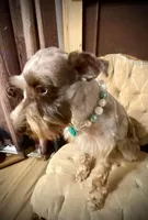 processed/46d5eaba-13ed-4e7b-8db4-a4666766b2f5/facility/2701a6e5-8bbf-4d80-85f3-182258f04187