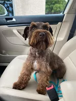 processed/46d5eaba-13ed-4e7b-8db4-a4666766b2f5/facility/5895d475-00ad-4ef2-8acc-e1d6e6acc19b