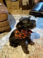 processed/46d5eaba-13ed-4e7b-8db4-a4666766b2f5/facility/8a7b10c2-f77b-41ef-a010-148e9d6ae2f0