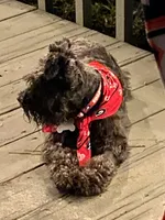 processed/46d5eaba-13ed-4e7b-8db4-a4666766b2f5/facility/8b797296-77cb-4a93-ba54-9932cfaf7949