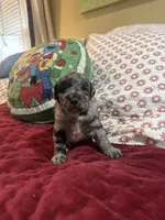 processed/46e101bf-e627-49aa-8f60-7f1934832033/listing/13673e44-92e5-48e1-b62f-7306a8c40ace/2f498ae6-9c56-4191-9a54-1d6d1281c5bb