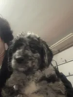 processed/46e101bf-e627-49aa-8f60-7f1934832033/listing/13673e44-92e5-48e1-b62f-7306a8c40ace/4a592412-97e9-40c0-b21a-8dbc53e04285