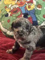 processed/46e101bf-e627-49aa-8f60-7f1934832033/listing/13673e44-92e5-48e1-b62f-7306a8c40ace/740fd05c-3e33-4484-85f0-7452e1c044d1