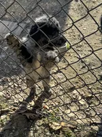 processed/46e101bf-e627-49aa-8f60-7f1934832033/listing/13673e44-92e5-48e1-b62f-7306a8c40ace/94440b72-4747-4984-be52-2b1f3e9256e5