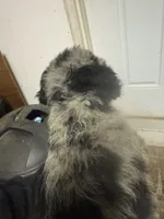 processed/46e101bf-e627-49aa-8f60-7f1934832033/listing/13673e44-92e5-48e1-b62f-7306a8c40ace/9e5df279-dca2-42c6-953f-40ae518e8ec0