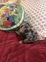 processed/46e101bf-e627-49aa-8f60-7f1934832033/listing/13673e44-92e5-48e1-b62f-7306a8c40ace/d511bc91-0aee-4dab-860d-f9aedab2336a