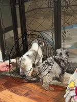 processed/46e101bf-e627-49aa-8f60-7f1934832033/listing/a1cdcf0f-3fa5-49c2-90f6-0d66b5ccd032/0524e99b-74ec-4e5d-9eec-f6cbf886c2ea