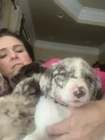 processed/46e101bf-e627-49aa-8f60-7f1934832033/listing/a1cdcf0f-3fa5-49c2-90f6-0d66b5ccd032/9a106873-01e7-4335-8bea-9c67b0567946