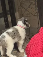 processed/46e101bf-e627-49aa-8f60-7f1934832033/listing/a1cdcf0f-3fa5-49c2-90f6-0d66b5ccd032/a407786a-fa22-44be-b7bf-107d70e38dc7