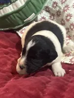 processed/46e101bf-e627-49aa-8f60-7f1934832033/listing/b5dd02cf-7226-47b6-b812-d02286de2a79/063157e4-92c8-4956-ba2e-412cc191daa4