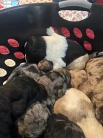 processed/46e101bf-e627-49aa-8f60-7f1934832033/listing/b5dd02cf-7226-47b6-b812-d02286de2a79/0a16cffe-fe91-4590-9040-418ae1ac4e33