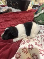 processed/46e101bf-e627-49aa-8f60-7f1934832033/listing/b5dd02cf-7226-47b6-b812-d02286de2a79/16290b74-2d90-4989-83f8-fd15d655570a