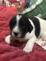 processed/46e101bf-e627-49aa-8f60-7f1934832033/listing/b5dd02cf-7226-47b6-b812-d02286de2a79/2be4cb36-31dc-432c-9fe4-5bcddde60aa9