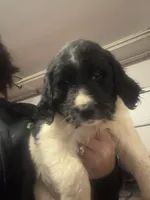 processed/46e101bf-e627-49aa-8f60-7f1934832033/listing/b5dd02cf-7226-47b6-b812-d02286de2a79/2ef4bd05-37f4-4e8b-9af1-50fa8fa1e942