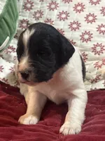 processed/46e101bf-e627-49aa-8f60-7f1934832033/listing/b5dd02cf-7226-47b6-b812-d02286de2a79/5e44e6c3-85ae-45f0-b317-50b547770782