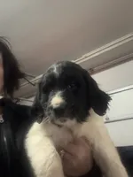 processed/46e101bf-e627-49aa-8f60-7f1934832033/listing/b5dd02cf-7226-47b6-b812-d02286de2a79/9bd82f17-c144-4b9b-aa6d-fdf21cbb32af