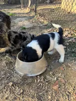 processed/46e101bf-e627-49aa-8f60-7f1934832033/listing/b5dd02cf-7226-47b6-b812-d02286de2a79/a7b8b549-52de-4e2a-a80f-47f612535b25