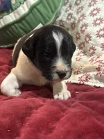 processed/46e101bf-e627-49aa-8f60-7f1934832033/listing/b5dd02cf-7226-47b6-b812-d02286de2a79/e77fe4d0-7368-4a0d-912c-72855e9a57c0