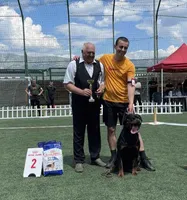 Igo, a male Rottweiler for sale in Rentz, GA – 4 of 4
