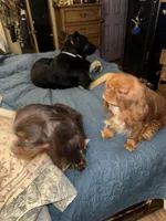 processed/46e8dcf3-643b-4816-8691-b9ab06ec433e/facility/2b7834b0-fb62-4d81-a32e-3fe55d04e447