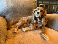 processed/46e8dcf3-643b-4816-8691-b9ab06ec433e/facility/32805c98-09c9-460f-b339-cf0348eb046f